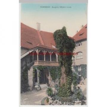 (87357) AK Nürnberg, Burghof m. 500-jähriger Linde, um 1910