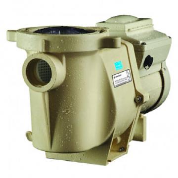 Pentair 011018 IntelliFlo Variable Speed High Performance Pool Pump, 3 Horsepowe