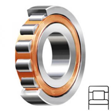 SKF NU 2217 ECP/P5VQ3751 Cylindrical Roller Bearings