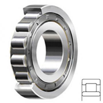 NTN NU224V2 Cylindrical Roller Bearings