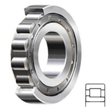 NSK NJ226W Cylindrical Roller Bearings