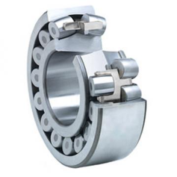 NSK 22214EAKE4 Spherical Roller Bearings