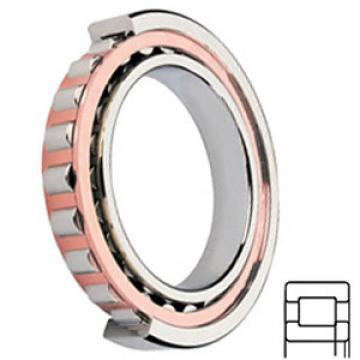 SKF NUP 2208 ECP/C3 Cylindrical Roller Bearings
