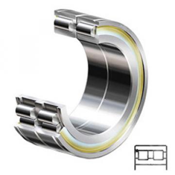 INA SL04130-PP Cylindrical Roller Bearings