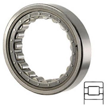 NTN M1207EL Cylindrical Roller Bearings