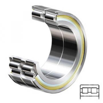 INA SL014918 Cylindrical Roller Bearings