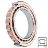 FAG BEARING NUP2313E.TVP2 Cylindrical Roller Bearings #1 small image