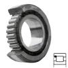 INA SL181848-E Cylindrical Roller Bearings #1 small image