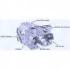 Dansion piston pump Gold cup P7P series P7P-8R1E-9A2-B00-0B0