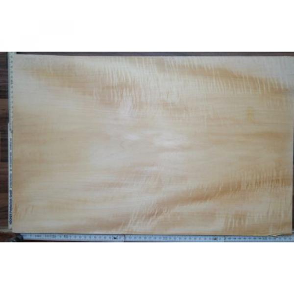 Tonewood Basswood 1312 Bastelholz Body Linde Guitar Tonholz Blank Curly Figured #5 image