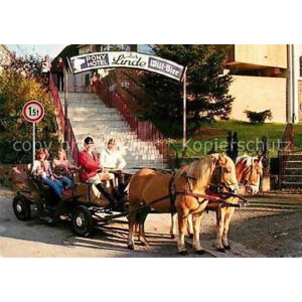 72907323 Riefensbeek-Kamschlacken Pony Hotel Zur Linde Osterode am Harz #1 image