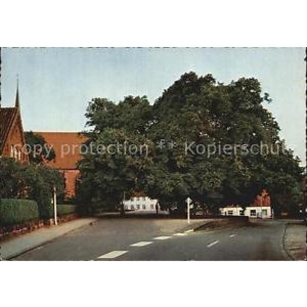 72484012 Bordesholm Wahrzeichen ca. 300jaehrige Linde Bordesholm #1 image