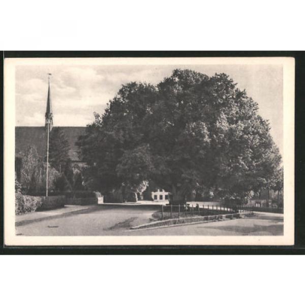 tolle AK Bordesholm, Linde und Kirche #1 image