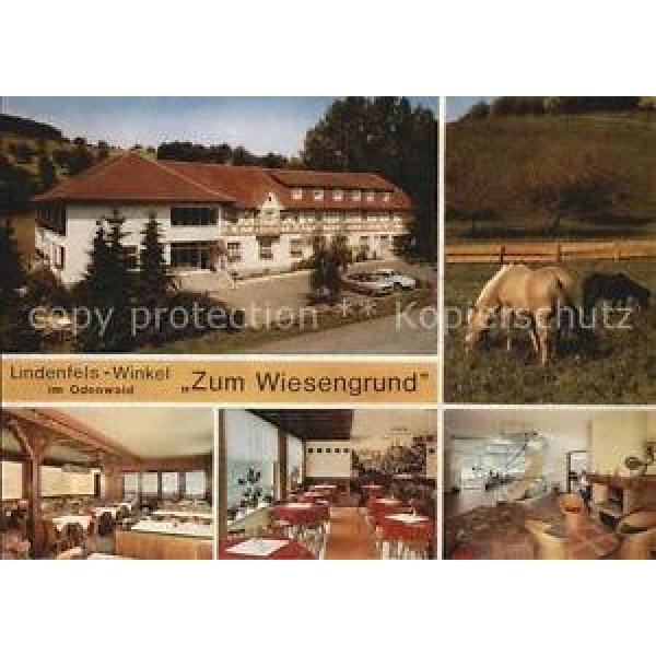 72453609 Winkel Odenwald Restaurant Cafe Zum Wiesengrund Gastraeume Pferde Linde #1 image