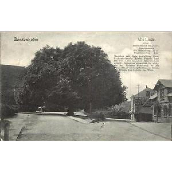 41388000 Bordesholm Alte Linde Bordesholm #1 image