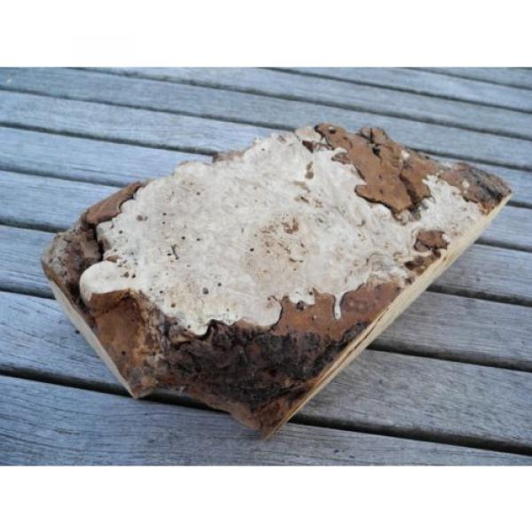 heimische Linde Maserlinde  z.B. Holzschmuck ca. 250 x 133 x 60 mm  E364 #1 image