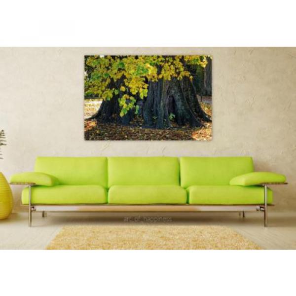 Stunning Poster Wall Art Decor Log Root Linde Nature Tree 36x24 Inches #1 image