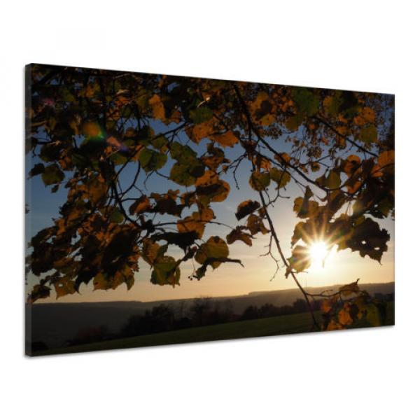 Blätter Linde Zweig Feld Bäume Sonnenaufgang Leinwand Poster Druck Bild vv7272 #1 image