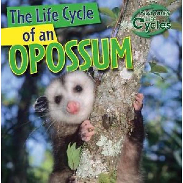 NEW The Life Cycle of an Opossum (Nature&#039;s Life Cycles) by Barbara M Linde #1 image