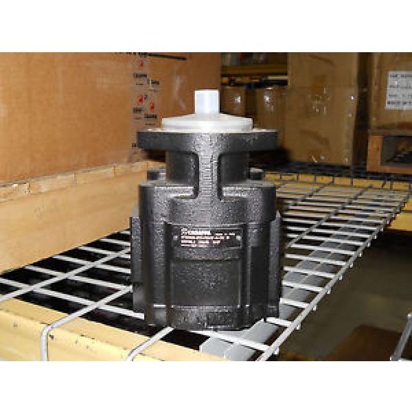 New Casappa Cast Iron Pump (035700L6) #1 image