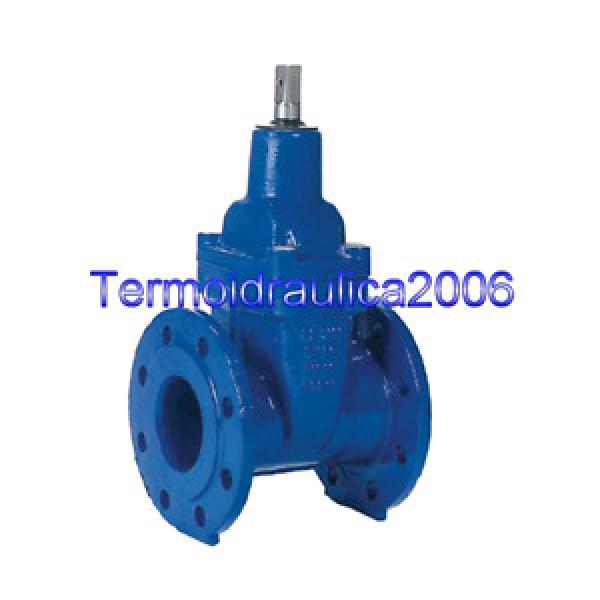 KSB 42275617 Cobra-SGO Gate valve with bolted bonnet, oval body DN 100 Z1 #1 image