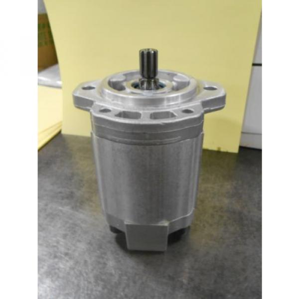 New Casappa Gear Pump (0200009P) #1 image