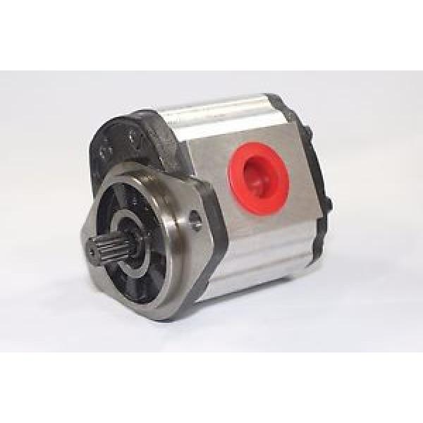 Hydraulic Gear Pump 1PN082AG1S13E3CNXS 8.2 cm³/rev  250 Bar Pressure Rating #1 image
