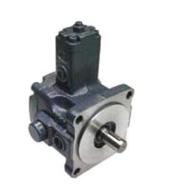 VPE-F12-D-10 Vane Pump #1 image