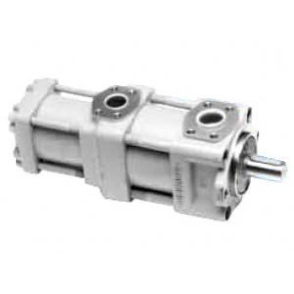 QT3222-10-6.3F Dutch QT Series Double Gear Pump #1 image