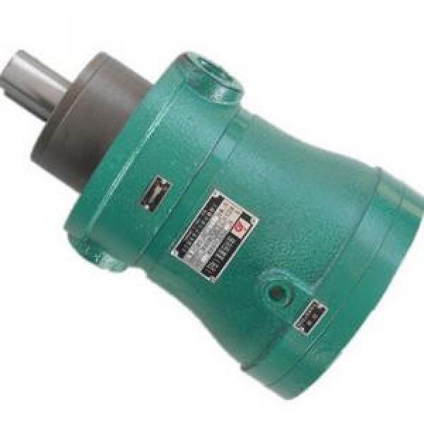 80MCM14-1B Series Axial Piston Motor #1 image