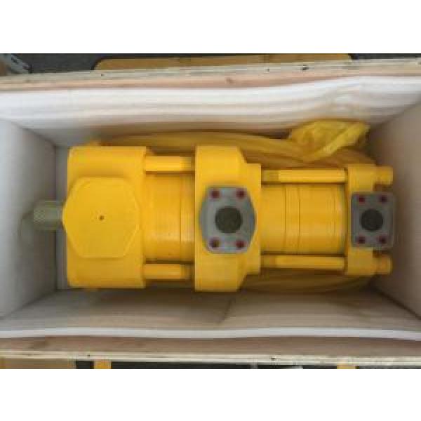 Sumitomo QT6262-100-80F Double Gear Pump #1 image