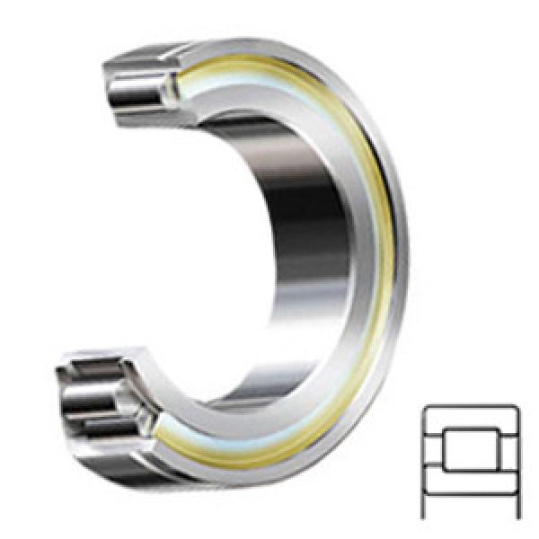 SKF NJG 2308 VH/C3 Cylindrical Roller Bearings #1 image