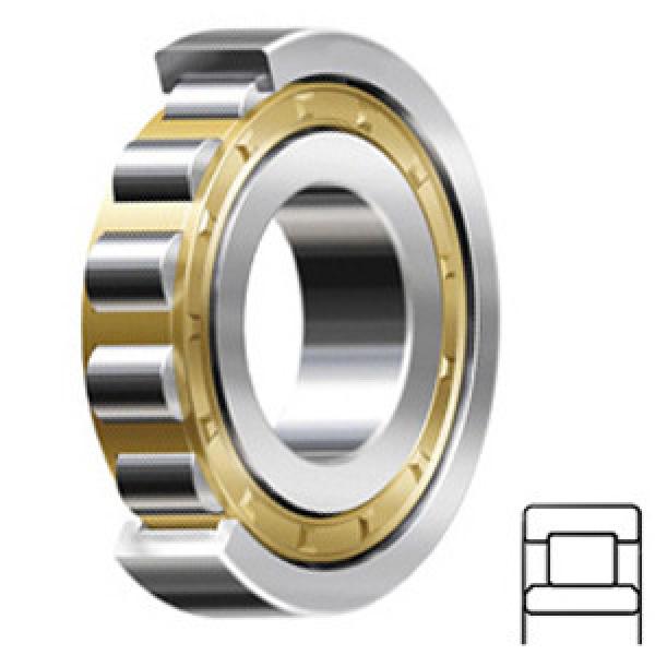 FAG BEARING NU309-E-M1-C4-S1 Cylindrical Roller Bearings #1 image