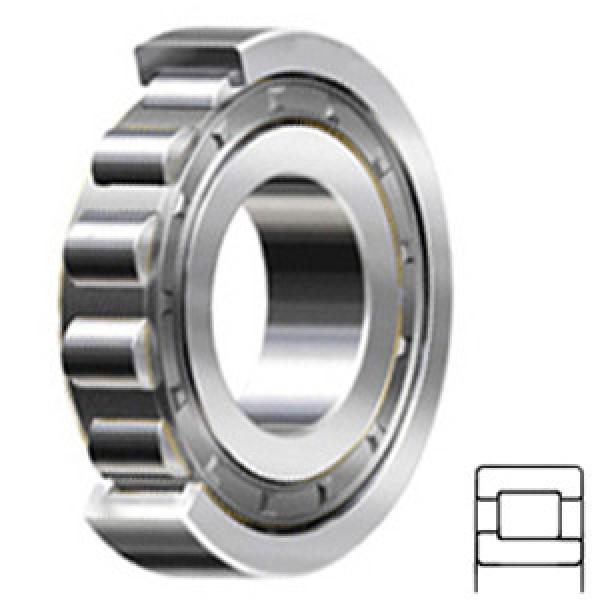 FAG BEARING NJ306-E-JP1-C3 Cylindrical Roller Bearings #1 image