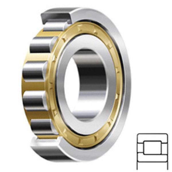 SKF NJ 2226 ECML/C3 Cylindrical Roller Bearings #1 image