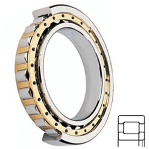FAG BEARING NUP2211-E-M1 Cylindrical Roller Bearings #1 image