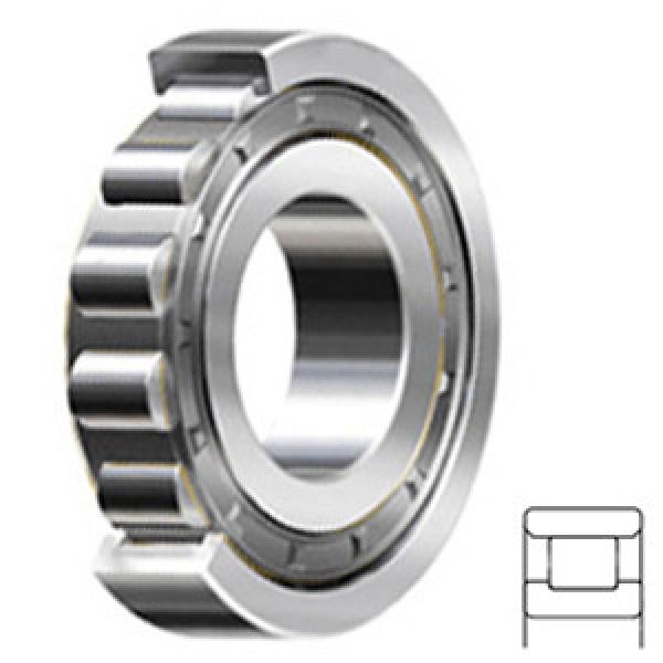 NSK N311WC3 Cylindrical Roller Bearings #1 image