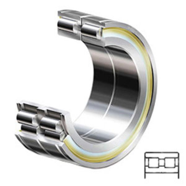 INA SL045004 Cylindrical Roller Bearings #1 image