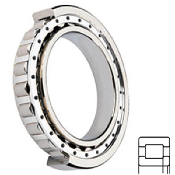 NTN MSN1211GEXR Cylindrical Roller Bearings #1 image