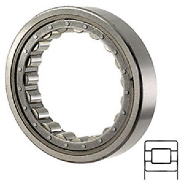 NTN M1017EAHL Cylindrical Roller Bearings #1 image