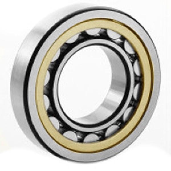 FAG BEARING 20244-MB Spherical Roller Bearings #1 image