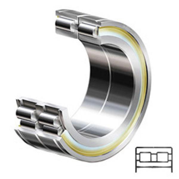 INA SL05026E Cylindrical Roller Bearings #1 image