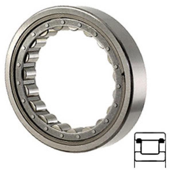 NTN R1558TAV Cylindrical Roller Bearings #1 image