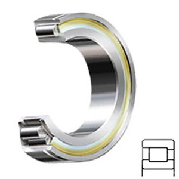 NTN MU1921DAHM Cylindrical Roller Bearings #1 image