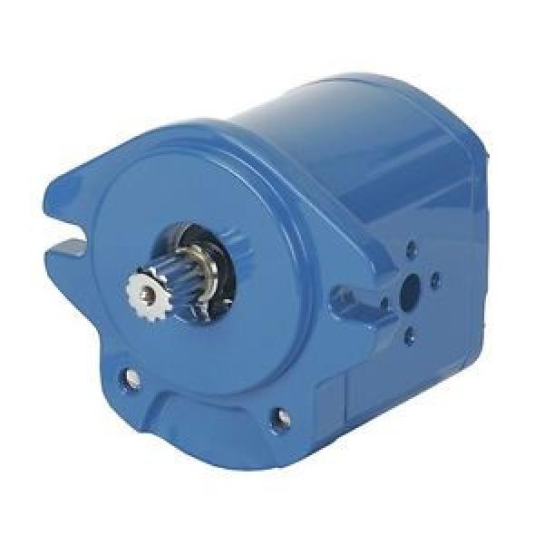 26002-LZJ Gear Pump, Displacement  05, GPM 66, Left #1 image