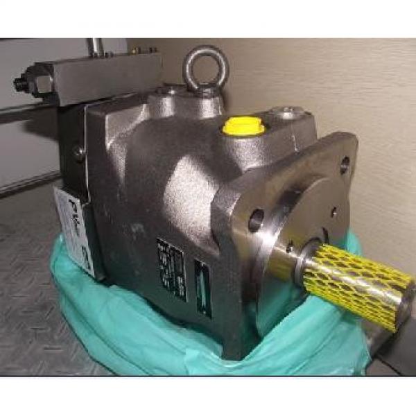 Plunger PV series pump PV29-1L1D-C00 #2 image