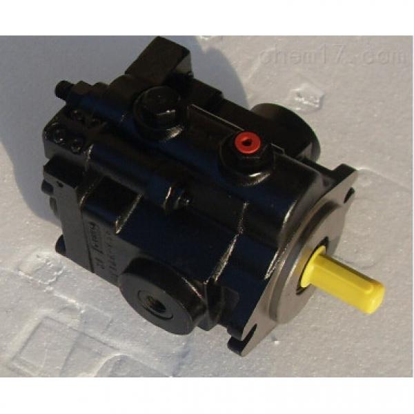 PVB5-LS-40-C-12-S124 Variable piston pumps PVB Series Original import #1 image