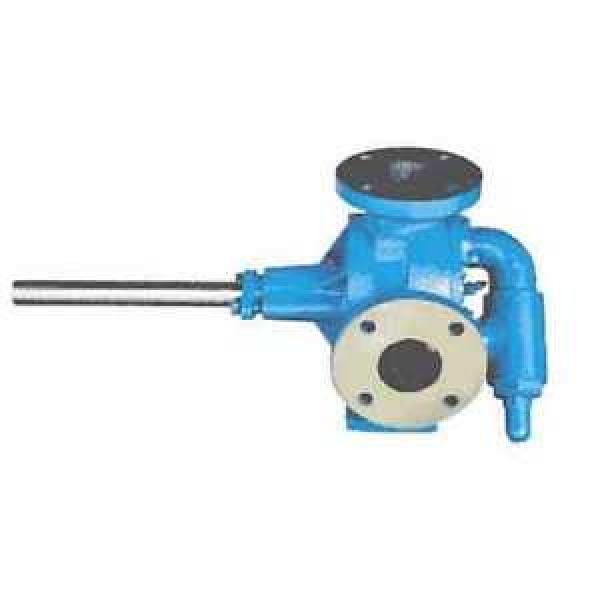 VICAN LIQUID PUMP L3200-2 W/ RELIEF #1 image