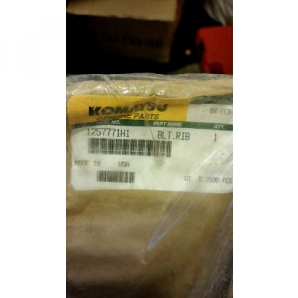 KOMATSU GENUINE PART#1257771H1  RIBBED BELT #3 image