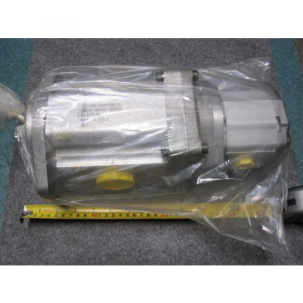 NEW SAUER DANFOSS TANDEM GEAR PUMP # 11032379 #1 image